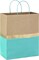 13" Large Paper Gift Bags – Pack of 6 Turquoise & Kraft Gift Bags with Handles for Birthdays, Easter, Weddings, Baby & Bridal Showers, Mother’s Day (Turquoise)